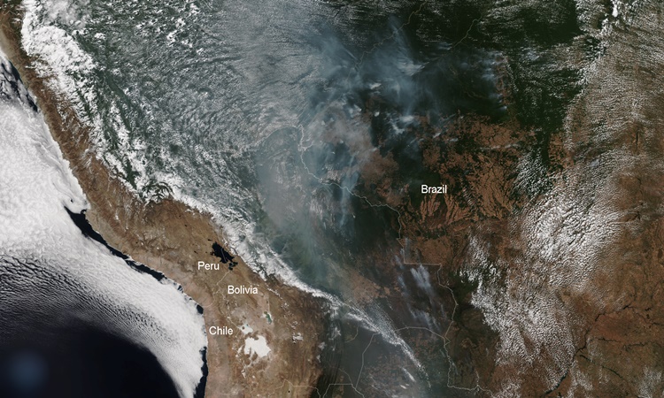 Amazon Wildfire: Smoke & Fire Can Be Seen From Space (Photo)