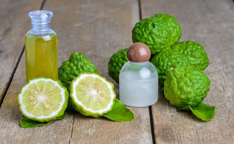 bergamot essential oil