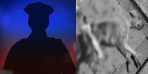 police officer killed dog 1