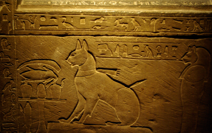 Cats - A Brief Introduction To The History Of Domestic Cats