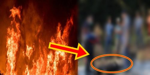 Depressed Man Bago City 1