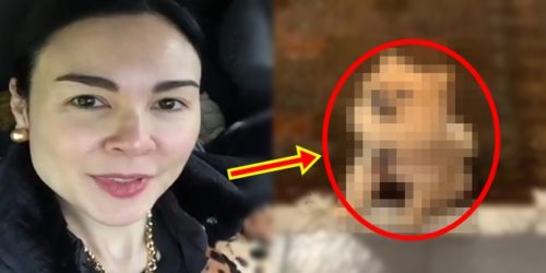 Gretchen Barretto Dog Harlow