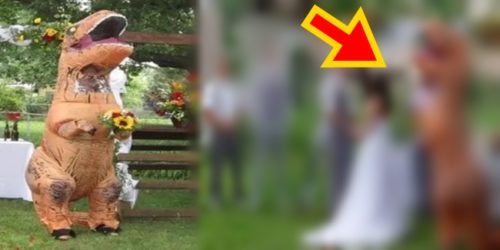 Maid of Honour Christina Meador T-Rex 7