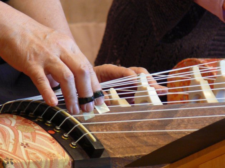 japanese stringed instrument