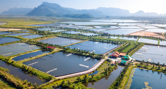 PROBLEMS OF AQUACULTURE
