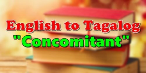 Translate English To Tagalog Concomitant