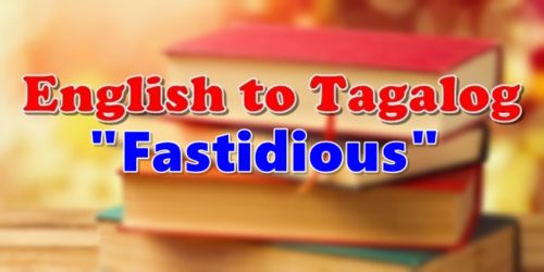 Translate English To Tagalog Fastidious