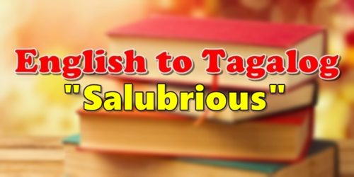 Translate English To Tagalog Salubrious