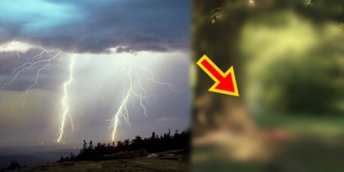 Woman struck by lightning 2