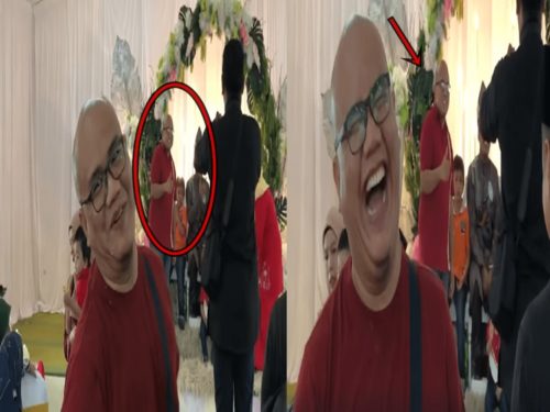 Wedding Visitor