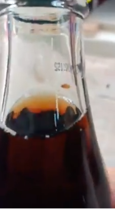 Maggots inside Coca-Cola Bottle