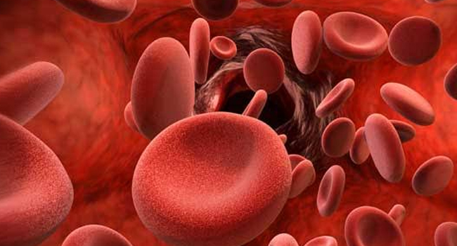 HEMATOLOGY
