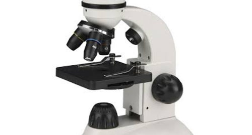 PARTS OF A MICROSCOPE