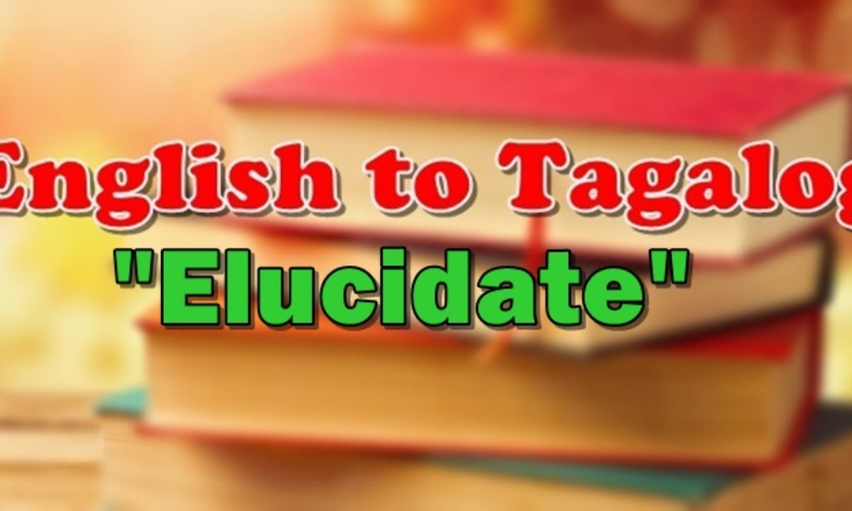 elucidate related words