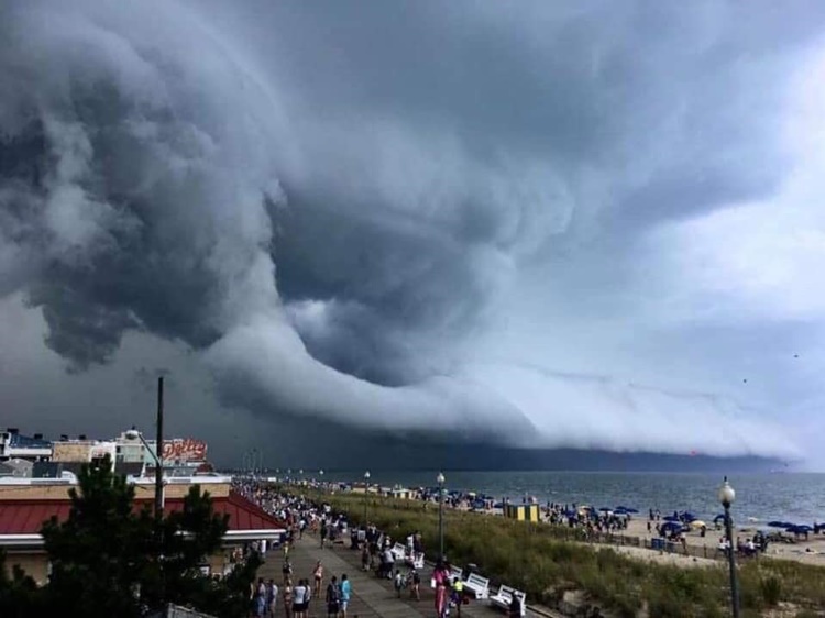 IN PHOTOS: Aftermath of Disastrous Typhoon Hagibis in Japan