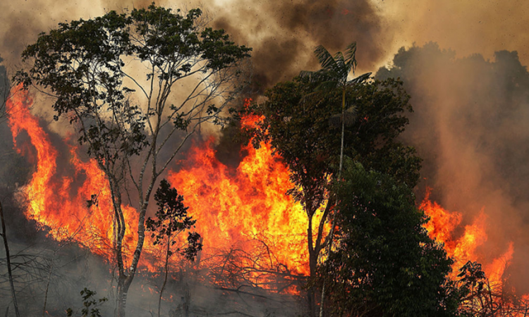 Amazon-Fires