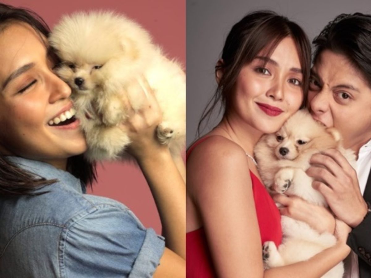 Kathryn Bernardo Dog Pablito Passes Away Netizens Saddened