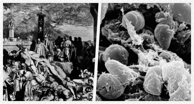 The Black Death Plague Is Back — 2 People Infected In China