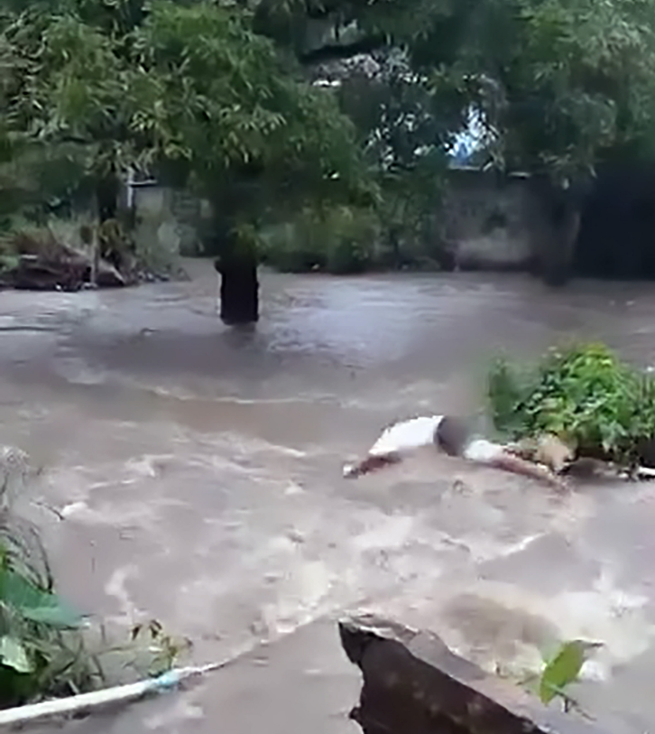 Man Dives Into Raging Flood To Save His Beloved Dog