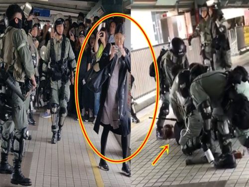 Pregnant Lady Protester