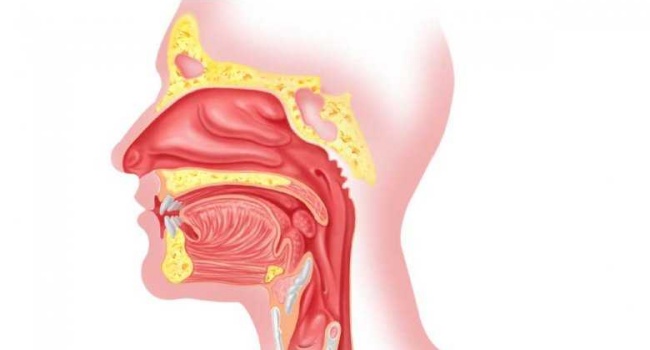 Rhinitis - What Exactly Is The Condition Called Rhinitis? (Answers)