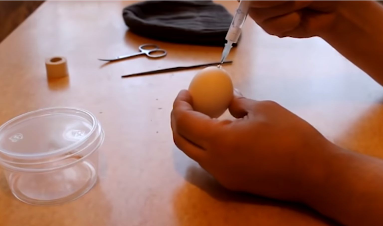 Man Injects Human Sperm to Chicken Egg, Result Gain Various Reactions