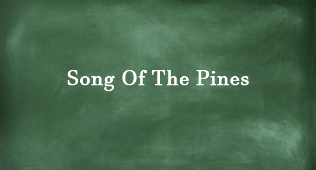 SONG OF THE PINES