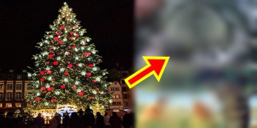 christmas season -tree-history 1