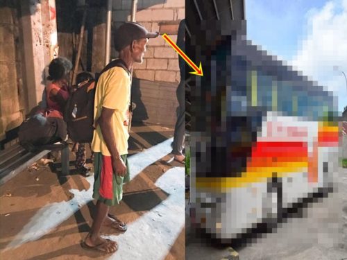 Two Air-Conditioned Buses