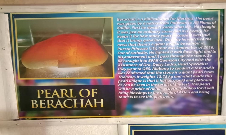 Giant-13.75-kg-pearl