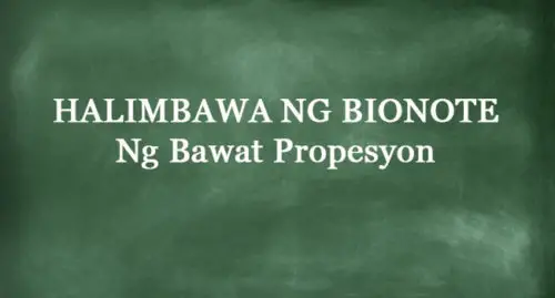 HALIMBAWA NG BIONOTE - Mga Bionote Ng Iba't Ibang Propesyon