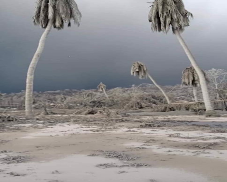 Taal town desert 1