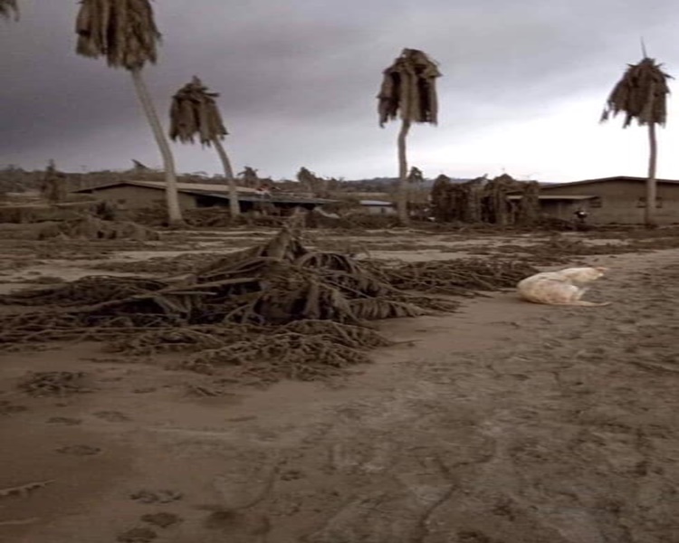 Taal-town-desert-2
