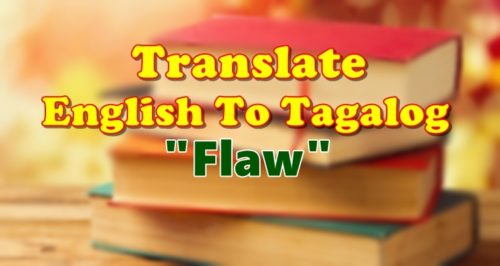 Translate English To Tagalog Flaw
