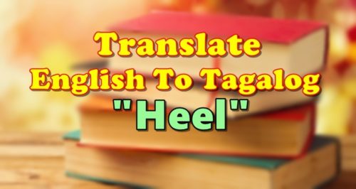 Translate English To Tagalog Heel