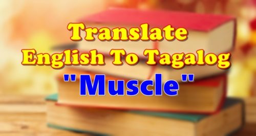 Translate English To Tagalog Muscle