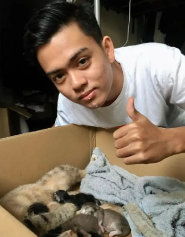 Crazy Guy Sparks Outrage Online After Drinking Cat’s Milk for Fame