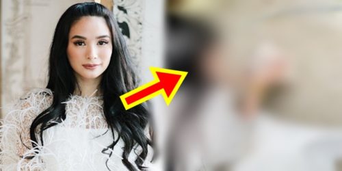 heart evangelista dogs Taal