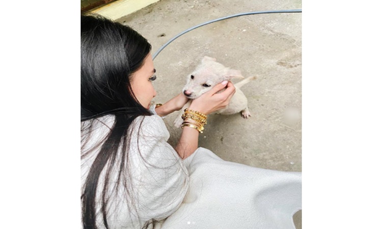 heart-evangelista-3