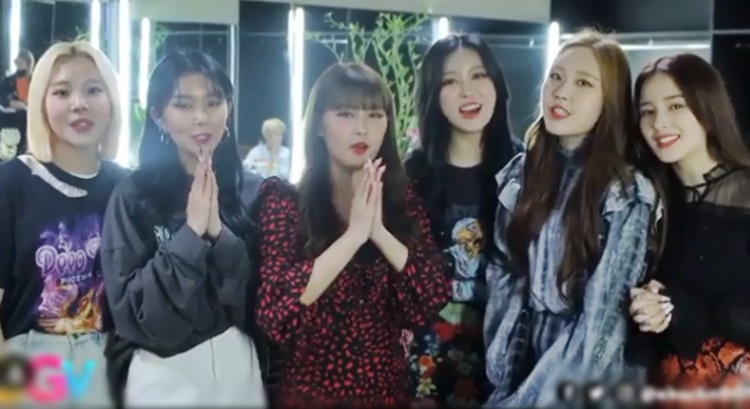 momoland