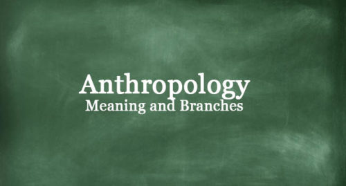 ANTHROPOLOGY