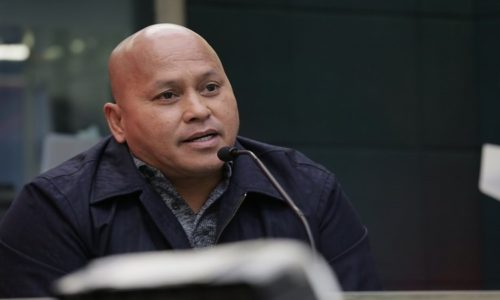 young bato dela rosa young bato dela rosa