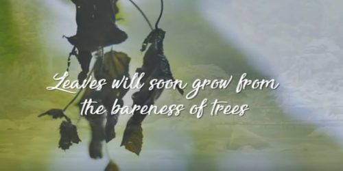 Ben & Ben - Leaves Lyrics