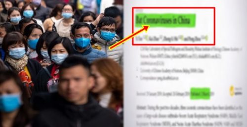 Coronavirus in China Review Paper