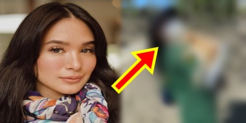 Heart Evangelista taal animals