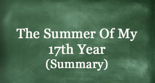 The Summer Of My 17th Year