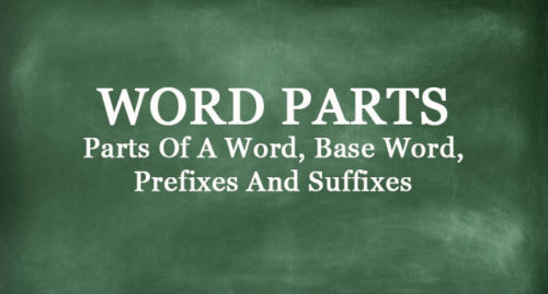 WORD PARTS