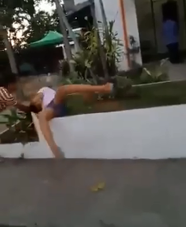 Female Bully