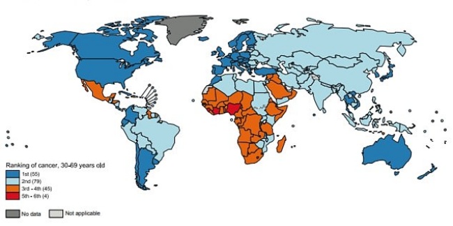 Global Rates Of Cancer To Increase By 60% Says WHO