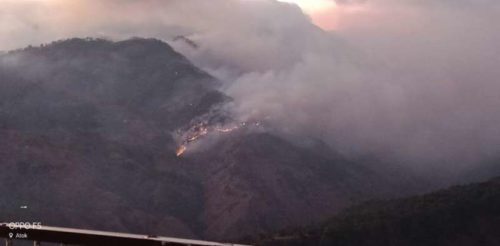 1,000 Hectares of Benguet Forest Destroyed in an Ongoing Forest Fire